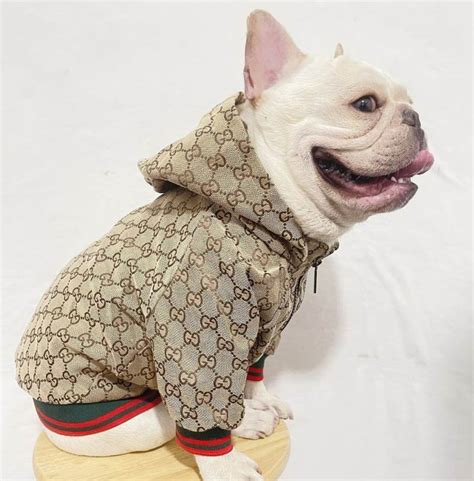 gucci dog dress|gucci dog clothes wholesale.